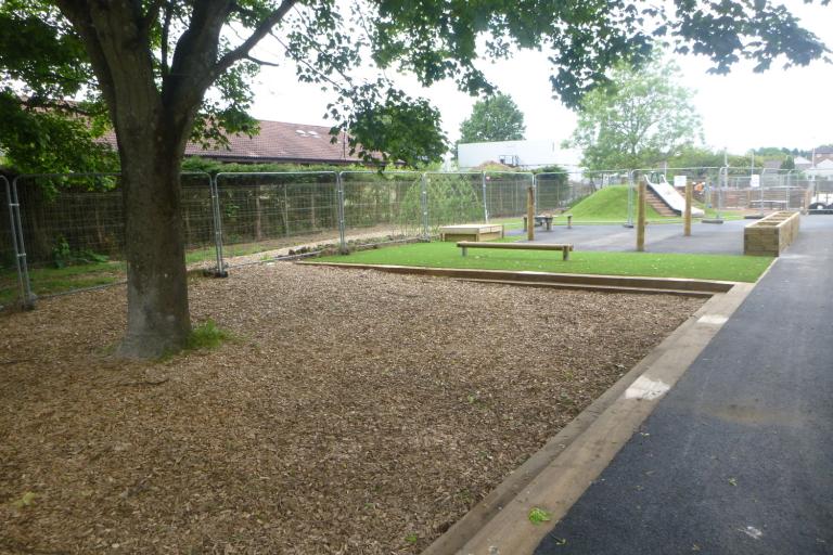 Mature tree at energy efficient Passivhaus school in Perth, Scotland