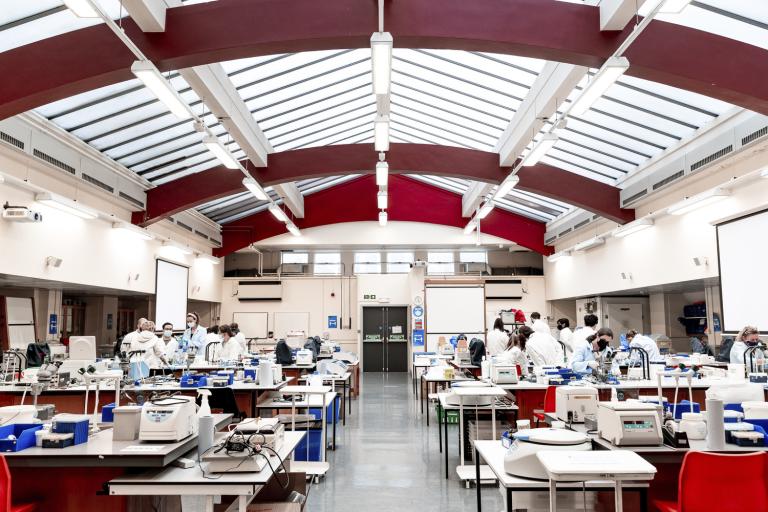 Large laboratory
