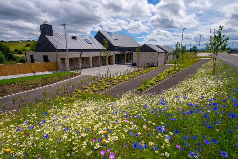 Floral field at Bierley Crematorium
