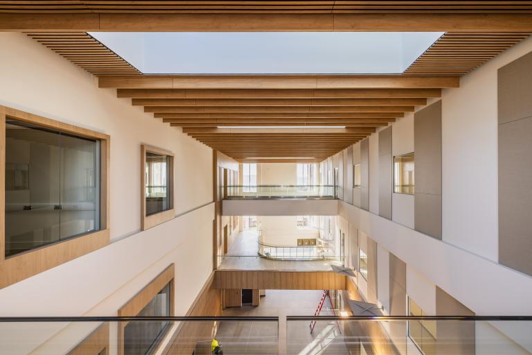 Mass timber ceiling