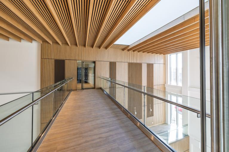 Mass timber hall