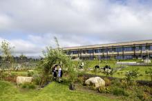 Passivhaus primary school constructed by Robertson